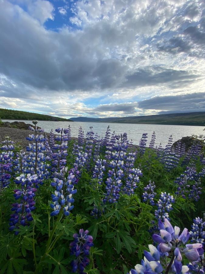 Hengifosslodge Tiny Houses Эгильсстадир Экстерьер фото